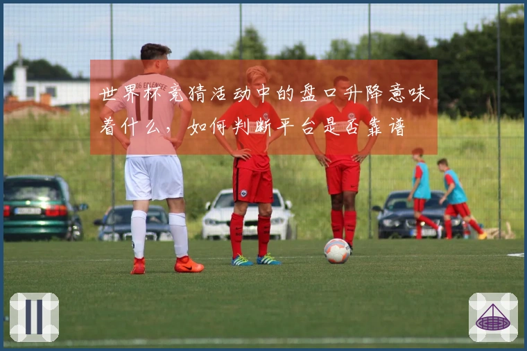 世界杯竞猜活动中的盘口升降意味着什么，如何判断平台是否靠谱