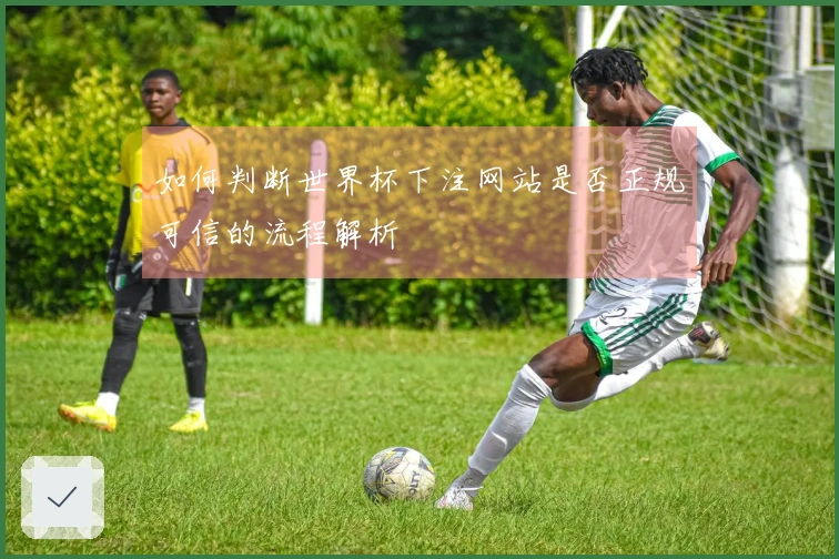 如何判断世界杯下注网站是否正规可信的流程解析