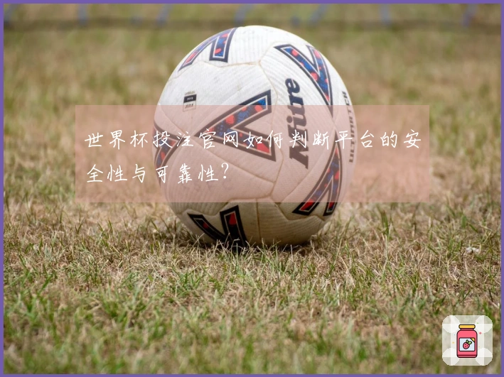 世界杯投注官网如何判断平台的安全性与可靠性？