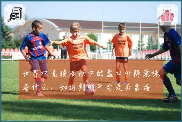 世界杯竞猜活动中的盘口升降意味着什么，如何判断平台是否靠谱