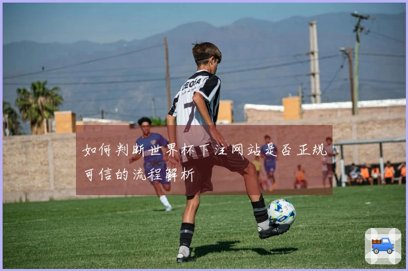 如何判断世界杯下注网站是否正规可信的流程解析