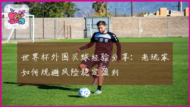 世界杯外围买球经验分享：老玩家如何规避风险稳定盈利